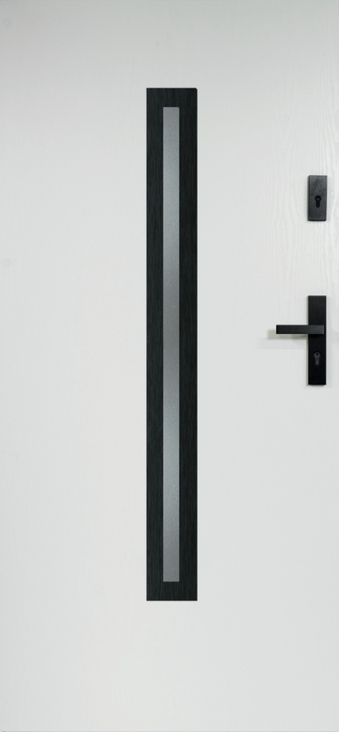 Drzwi Stalowe z Szybą W-10(OPUS)