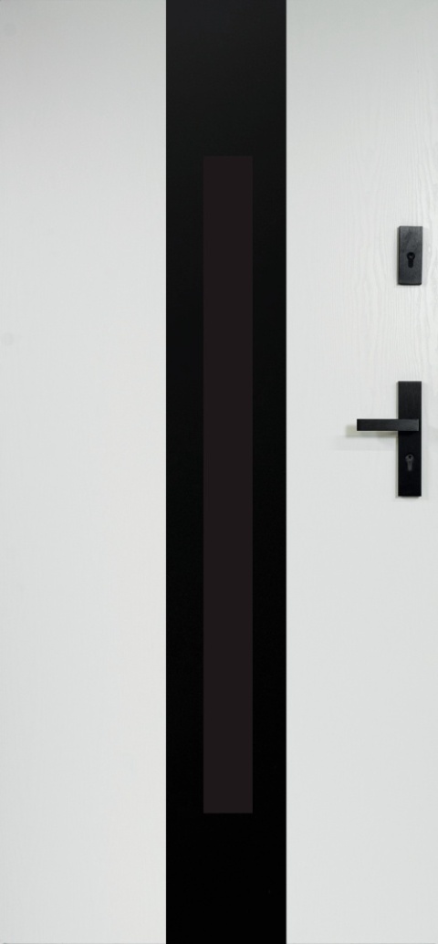 Drzwi Stalowe z Szybą W-12(OPUS)