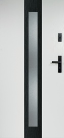 Drzwi Stalowe z Szybą W-9(OPUS)
