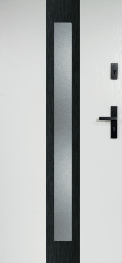 Drzwi Stalowe z Szybą W-9(OPUS)